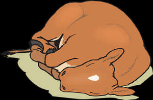 Sleeping Fawn Illustration PNG image with transparent background