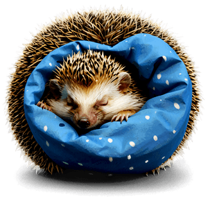 Sleeping Hedgehog PNG dxh PNG image with transparent background