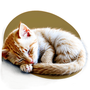 Sleeping Kitten PNG jxd97 PNG image with transparent background