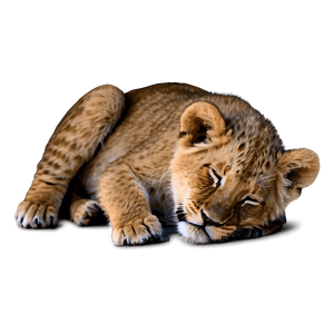 Sleeping Lion Cub PNG 05232024 PNG image with transparent background