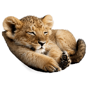 Sleeping Lion Cub PNG 83 PNG image with transparent background