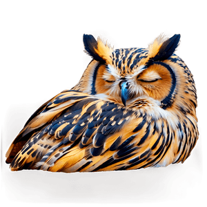 Sleeping Owl PNG kxk PNG image with transparent background
