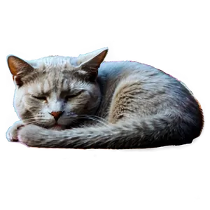 Sleepy Grey Cat Png Loq PNG Image