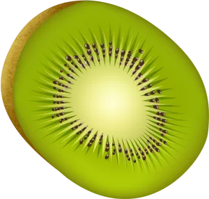 Sliced Kiwi Fruit Illustration PNG Image