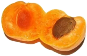 Sliced Peach Halfwith Pit.png PNG Image