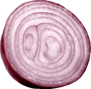 Slice Onion Png - Onion Cut Png, Transparent Png PNG image with transparent background