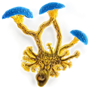 Slime Mold Png 06242024 PNG Image