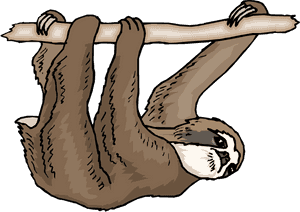 Sloth Clipart - Three Toed Sloth Clip Art, HD Png Download PNG image with transparent background