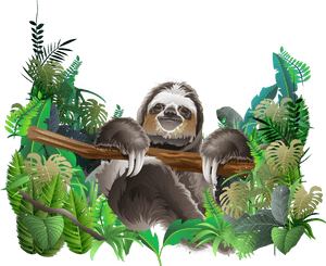 Transparent Sid The Sloth Png - Rainforest Animal Png, Png Download PNG image with transparent background