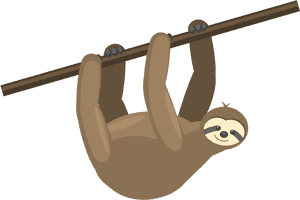 Sloth Png - Sloth Clipart Png, Transparent Png PNG image with transparent background