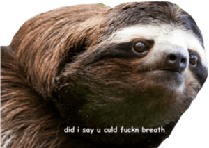 Sloth Png Transparent Images - Im Sorry Sloth, Png Download PNG image with transparent background