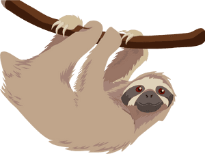 Sloth Png Transparent Sloth Images - Sloth Cartoon Transparent Background, Png Download PNG image with transparent background