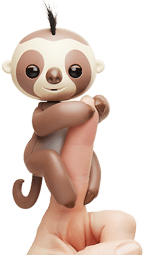 Sloth Things, HD Png Download PNG image with transparent background