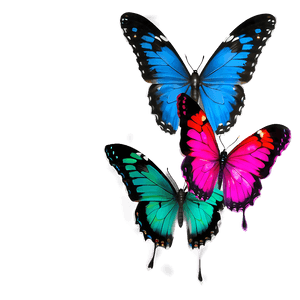 Small Butterfly PNG 05232024 PNG