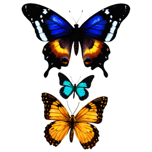 Small Butterfly PNG 42 PNG