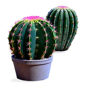 Small Cactus Plant Png Rwq PNG Image