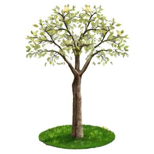 Small Deciduous Tree Png Yfj28 PNG Image