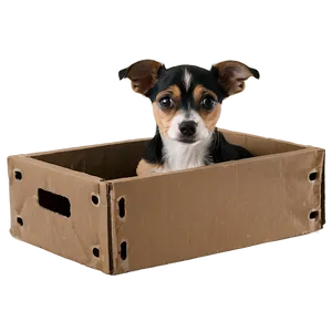 Small Dog In A Box Png 87 PNG Image