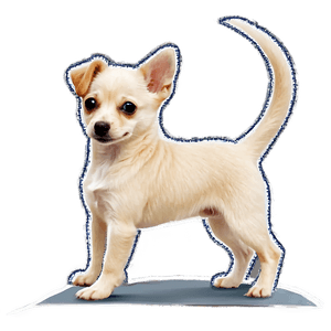 Small Dog PNG 12 PNG