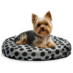 Small Dog Ready For Bed Png 06252024 PNG Image