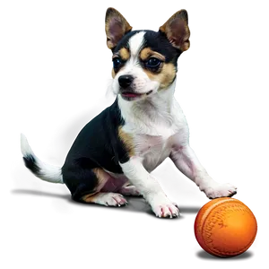 Small Dog With A Ball Png 49 PNG Image