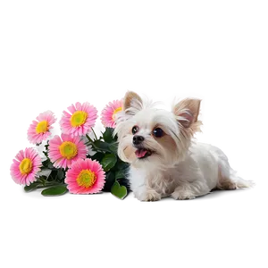 Small Dog With Flowers Png 06252024 PNG Image