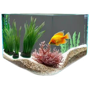 Small Fish Tank Png 40 PNG Image