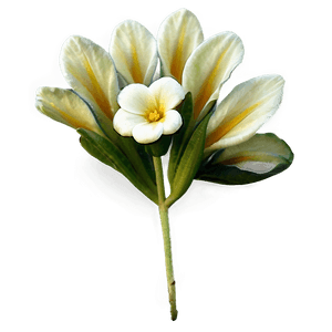 Small Flower PNG pdv PNG