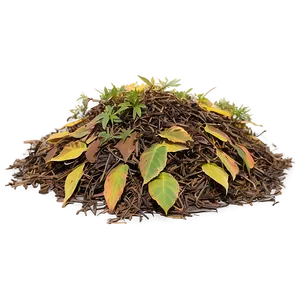 Small Leaf Pile Png 56 PNG Image