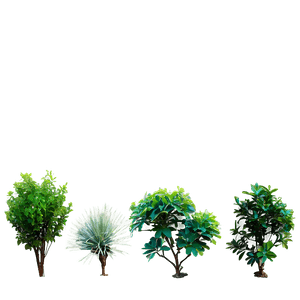 Small Shrubs PNG rdx PNG