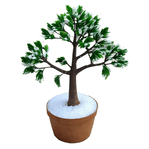 Small Tree PNG 05232024 PNG