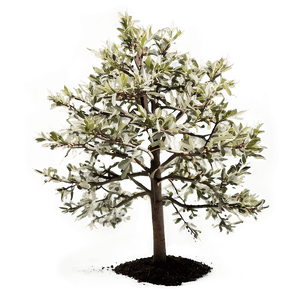 Small Tree PNG den PNG