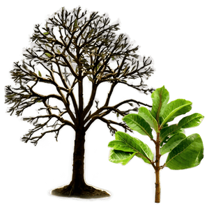 Small Tree PNG vbk PNG
