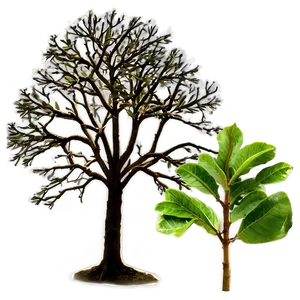 Small Tree Png Vbk PNG Image