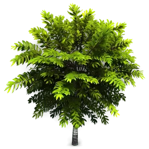 Small Tree Top View Png 72 PNG Image