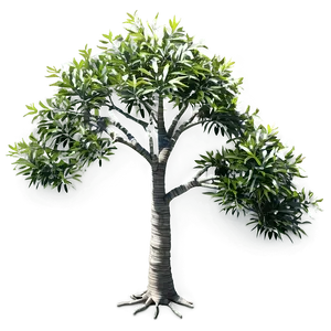 Small Tree Top View Png Jlg77 PNG Image