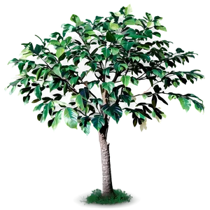 Small Tree With Leaves Png Chh PNG Image