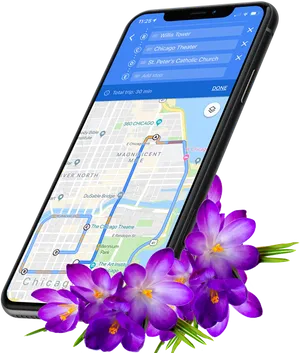 Smartphone Navigation Saffron Flowers PNG Image