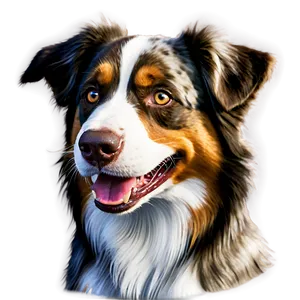 Smiling Australian Shepherd Png 66 PNG Image