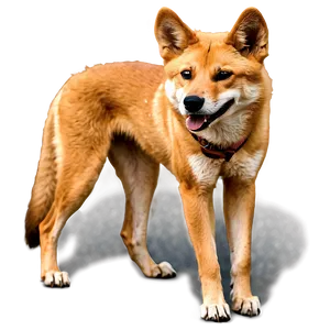 Smiling Dingo Image Png Dvc86 PNG Image