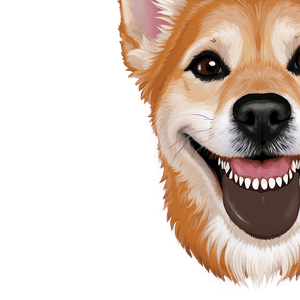 Smiling Dog Face Clipart PNG 06212024 PNG