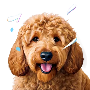 Smiling Goldendoodle Png Usf54 PNG Image