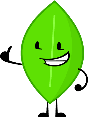 Battle For Bfdi Leafy, HD Png Download PNG with transparent background