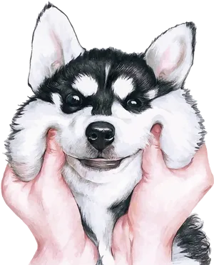 Smiling Husky Puppyin Hands PNG Image