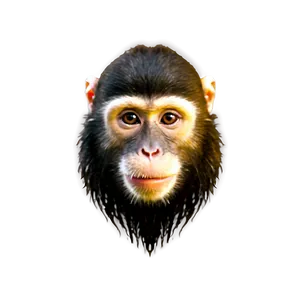 Smiling Monkey Face Png Haa27 PNG Image