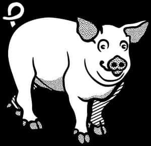 Smiling Pig Blackand White Illustration PNG image with transparent background
