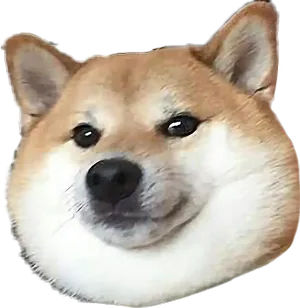 Smiling Shiba Inu Headshot PNG Image