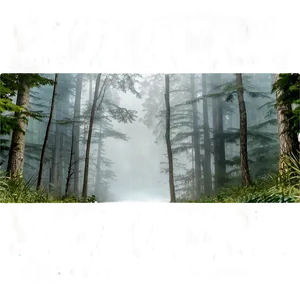 Smokey Misty Woods Png Dyr PNG Image