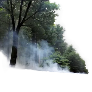 Smokey Misty Woods Png Fvc62 PNG Image