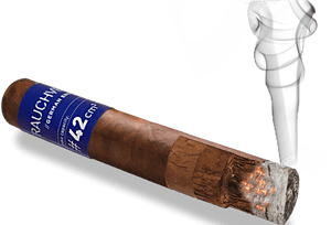 Mlg Cigar Transparent Transparent Background Zigarre - Transparent Background Cigar Clipart, HD Png Download PNG image with transparent background